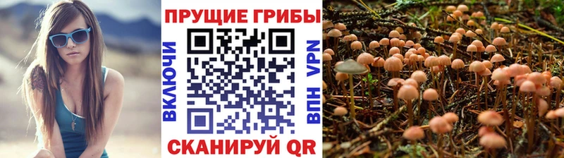 Галлюциногенные грибы Magic Shrooms Макарьев